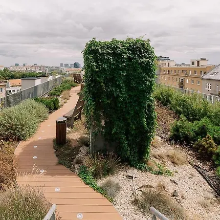 Sancova Serenity Spot *