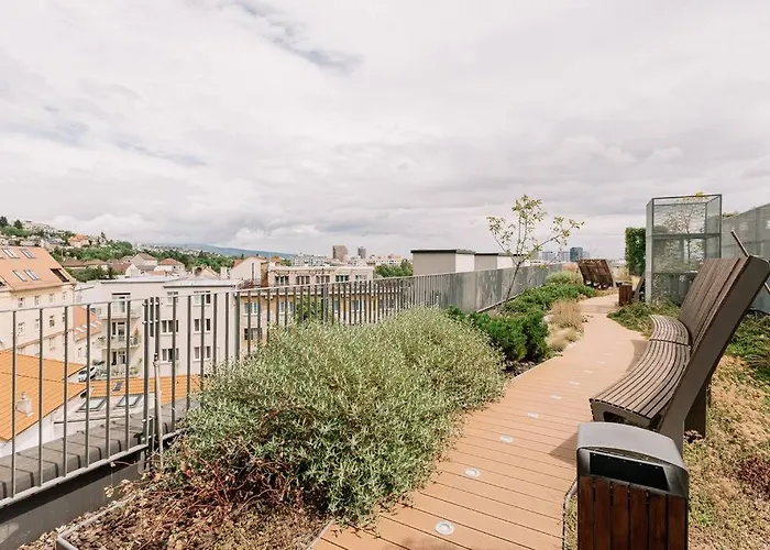 Sancova Serenity Spot *