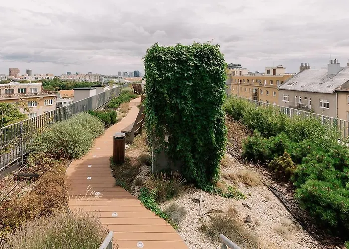 Sancova Serenity Spot *